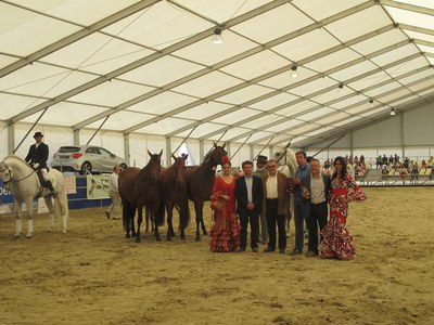 El lliurament de premis del concurs eqüestre s'ha fet aquest diumenge, en el marc de la Feria de Abril.