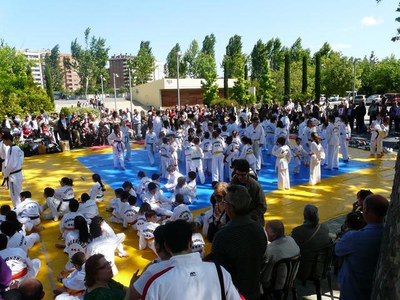 Aquest migdia s’ha fet als Camps Elisis l’exhibició de taekwondo infantil i adult.