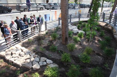 En aquest espai s’han plantat onze nous arbres, plantes arbustives, s’han construït uns murets de contenció amb pedra i, a més, s’ha reparat i il·lum….