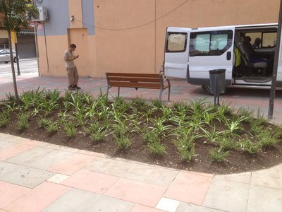 La Paeria està millorant l'enjardinament de diferents indrets de la ciutat, com el de la plaça Federica Montseny.
