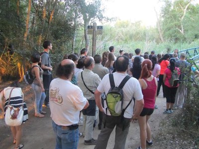 Una quarantena de persones han participat en l'ecodescoberta "A la Mitjana també es fa fosc".