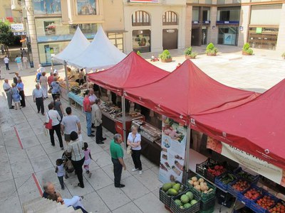 L'alcalde accidental, Josep Presseguer, acompanyat del regidor de l'Horta, Josep Barberà, i del regidor d'Esports, Txema Alonso, ha visitat la mostra….