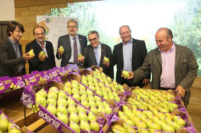 <bound method DexterityContent.Title of <NewsItem at /fs-paeria/paeria/ca/actualitat/noticies/18476>>.