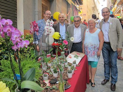 Imatge_cat_20116.JPG.