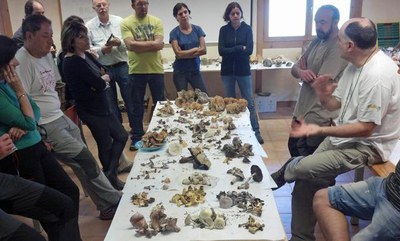 <bound method DexterityContent.Title of <NewsItem at /fs-paeria/paeria/ca/actualitat/noticies/18716>>.