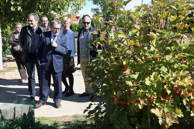 L'Arboretum farà portes obertes durant el pont de Tots Sants..