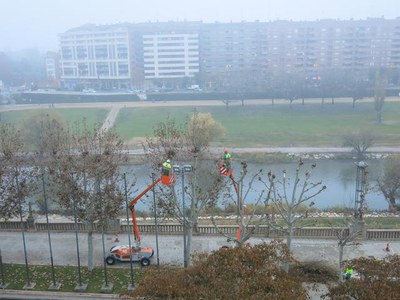 L’esporga dels arbres es fa en diferents moments de l’any, però principalment s’actua a l’hivern.
