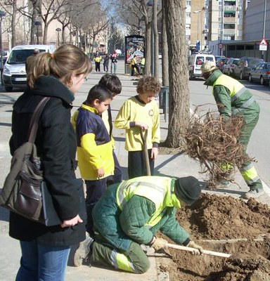 Fotografia d'arxiu d'alumnes del Frederic Godàs plantant arbres a l'avinguda Doctora Castells.