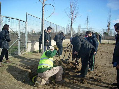 L’actuació coincideix amb el tret de sortida de la plantació anual d’arbrat a la ciutat, que tindrà lloc durant tot el mes de febrer i aconseguirà 51….