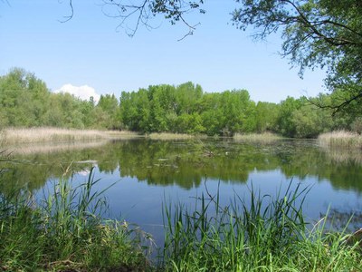Torna el programa d'Ecoactivitats de l'Ajuntament de Lleida. Un dels escenaris de les activitats és el Parc de la Mitjana.