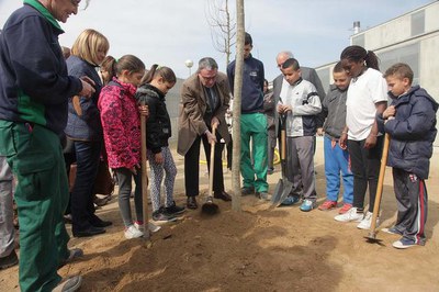 L'activitat ha comptat amb la col·laboració dels 16 alumnes del PQPI de Vivers i Jardins de l'Institut Castell dels Templers.