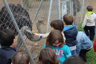 <bound method DexterityContent.Title of <NewsItem at /fs-paeria/paeria/ca/actualitat/noticies/20082>>.