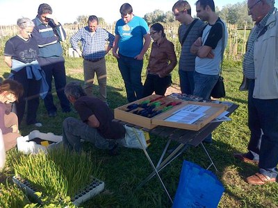 També s'ha fet un taller de com preparar-se el propi planter a càrrec de Slowfood Terres de Lleida.
