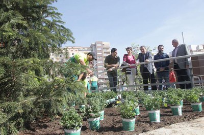 La nova vegetació arbustiva, la reposició d'alguns arbres i la plantació de flors, així com un paviment de color i gespa a les graderies donen una im….