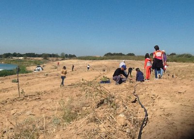 Els veïns de Sucs han plantat arbres al costat de la zona del pantà.