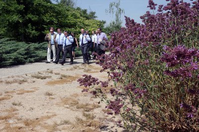 Els alumnes de nous cicles formatius de l’Institut Mollerussa de Jardineria i Paisatgisme faran pràctiques a l’Arborètum.