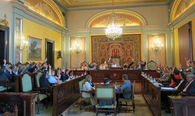 El Ple de Política Municipal sobre l’Estat de la Ciutat 2014 ha aprovat 10 de les 17 propostes resolució presentades.