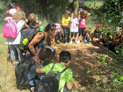 <bound method DexterityContent.Title of <NewsItem at /fs-paeria/paeria/ca/actualitat/noticies/20550>>.