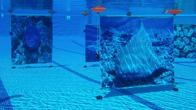 <bound method DexterityContent.Title of <NewsItem at /fs-paeria/paeria/ca/actualitat/noticies/20751>>.