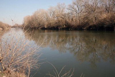 Fins al juliol d’aquest 2014, més de 40.000 persones han visitat el parc de La Mitjana, consolidant-la com un dels més espais de la ciutat més freqüe….