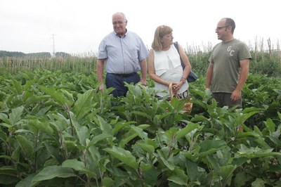 El Viver d’Agricultors de Rufea és un projecte innovador a tota Catalunya adreçat a totes aquelles persones que tenen una idea de negoci basat en l’a….
