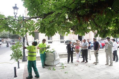 Gairebé una trentena de persones treballen fins  al proper dissabte en aquesta campanya intensiva de neteja de carrers, places, embornals i mobiliari….