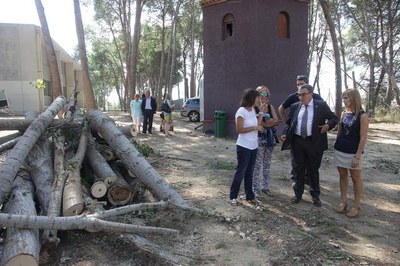 El pati de l'Escola va patir els efectes de la tempesta del 5 de setembre, que se'n va endur per davant arbres del pati. La Brigada muniicpal de jard….