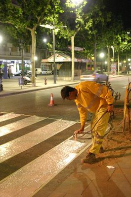 Imatge_cat_1021.jpg.