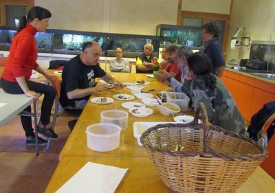 Curs d’identificació de bolets, aquest cap de setmana, en la Mitjana.
