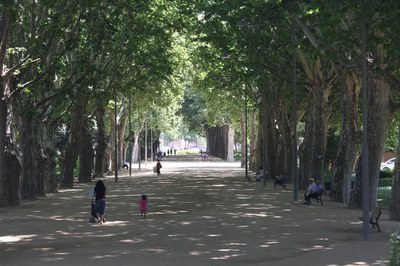 Fotografia d'arxiu del passeig central dels Camps Elisis.