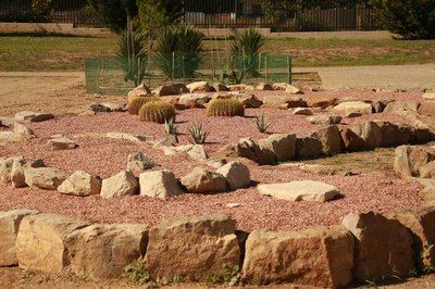 <bound method DexterityContent.Title of <NewsItem at /fs-paeria/paeria/ca/actualitat/noticies/21459>>.