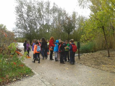 <bound method DexterityContent.Title of <NewsItem at /fs-paeria/paeria/ca/actualitat/noticies/21493>>.