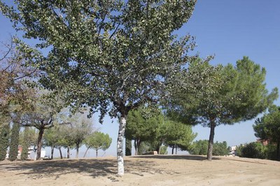 <bound method DexterityContent.Title of <NewsItem at /fs-paeria/paeria/ca/actualitat/noticies/21514>>.