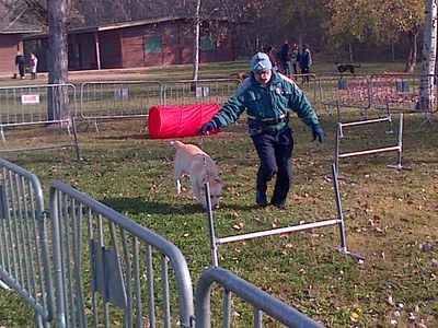 Més de mig centenar de gossos han participat en la III Caninada Solidària a la Mitjana de Lleida.
