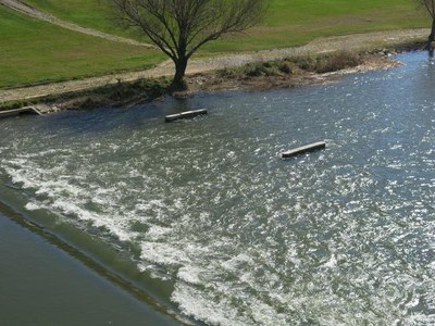 Imatge d'avui divendres del riu Segre al seu pas per Lleida.