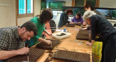 La Regidoria de Medi Ambient ensenya com fer un planter propi d’hortalisses.
