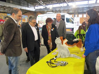 Una de les novetats de Mascota’m és la passejada popular de mascotes per la ciutat de Lleida.