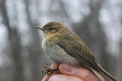 <bound method DexterityContent.Title of <NewsItem at /fs-paeria/paeria/ca/actualitat/noticies/22587>>.