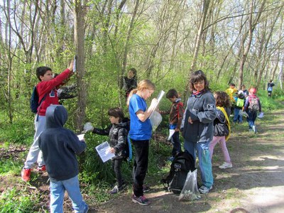 Fes el teu herbari ha estat una de les propostes de la Regidoria de Medi Ambient per als nens i nenes aquests dies de vacances escolars.