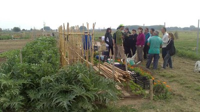 La Regidoria de Medi Ambient ha organitzat una ecodescoberta per aprendre tècniques bàsiques per cultivar un hort.