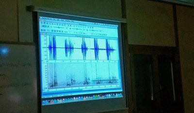 El curs “Identificació d’ocells a través dels seus cants" s'ajuda d'eines digitals, com l’anàlisi dels sonogrames d’enregistrament a camp.