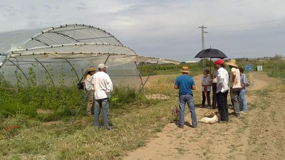 Una trentena de persones han participat en l'Ecoactivitat per conèixer de la mà dels propis agricultors del viver de Rufea les tècniques de producció….