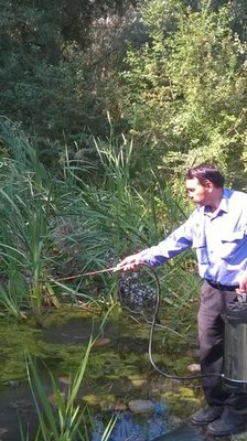 Operaris de la Regidoria de Medi Ambient han fet aquest divendres un tractament contra els mosquits a la zona de Pardinyes i la Mitjana.