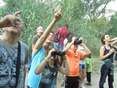 <bound method DexterityContent.Title of <NewsItem at /fs-paeria/paeria/ca/actualitat/noticies/23384>>.