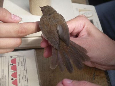 L’activitat s’emmarca dins el programa les Nits d’Estiu a Lleida de la Paeria.