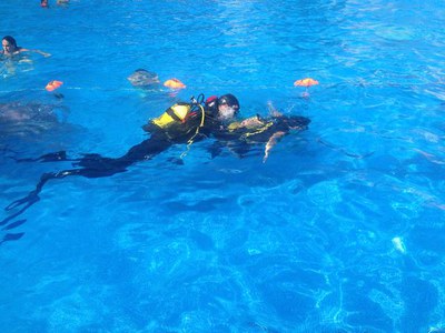 Visita submergida a l’exposició, acompanyat per un escafandre autònom..