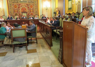 El Ple de la Paeria ha estrenat la participació ciutadana directa.