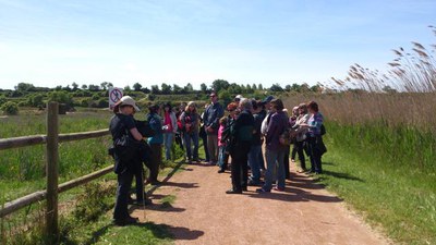 Fotografia d'una visita a l'Estany d'Ivars, dins les Ecoactivitats.
