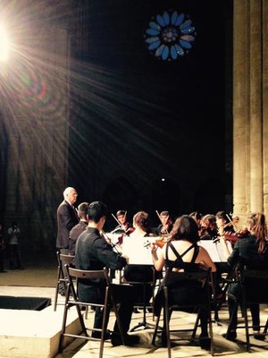La Jove Orquestra de Ponent, dirigida per l'austríac Florian Elbersberg, obre el Xè cicle de concerts Concòrdia a la Seu Vella.