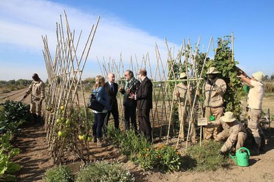 La formació especialitzada en agricultura (IMO) i l’assessorament i la cessió de 2 horts a la Partida de Rufea han estat una de les accions del proje….
